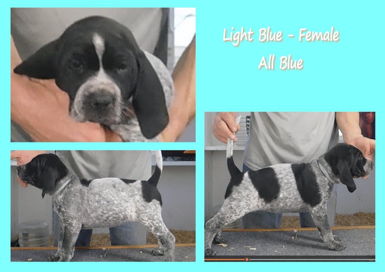 Light blue female all-blue evaluation card