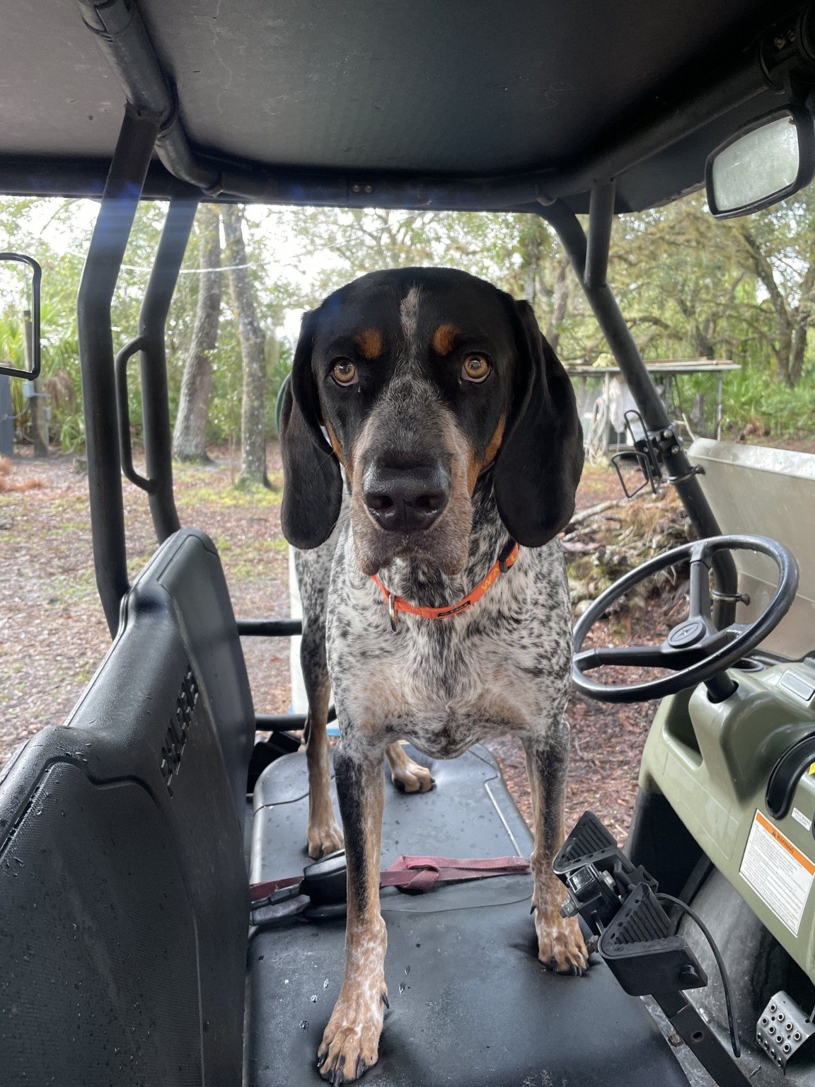 Bluetick in a utility vehicle